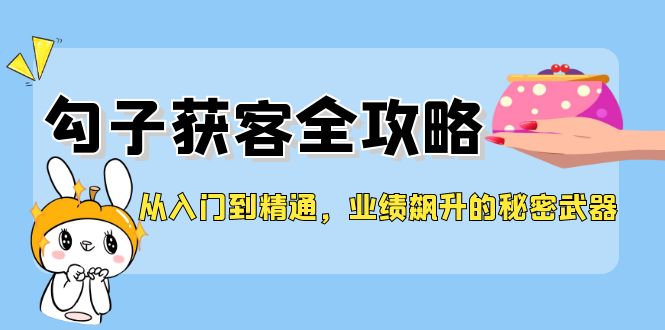 从入门到精通，勾子获客全攻略，业绩飙升的秘密武器-梦凌网创
