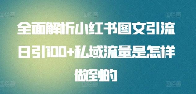 全面解析小红书图文引流日引100+私域流量是怎样做到的【揭秘】-梦凌网创