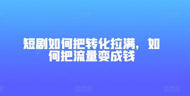 短剧如何把转化拉满，如何把流量变成钱-梦凌网创