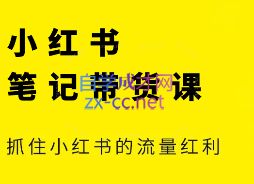 张宾·小红书笔记带货课(更新24年7月)-梦凌网创