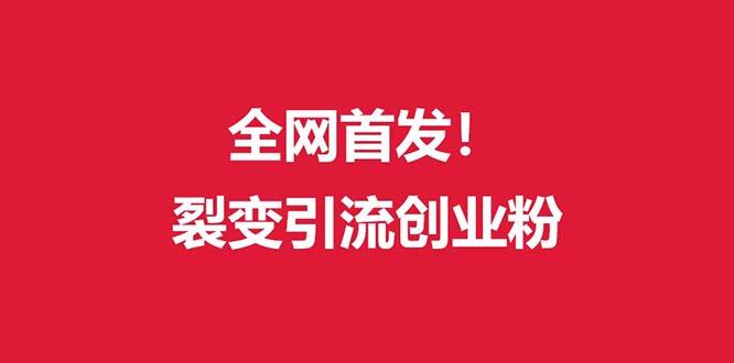 (全网首发)外面收费几千的裂变引流高质量创业粉-梦凌网创
