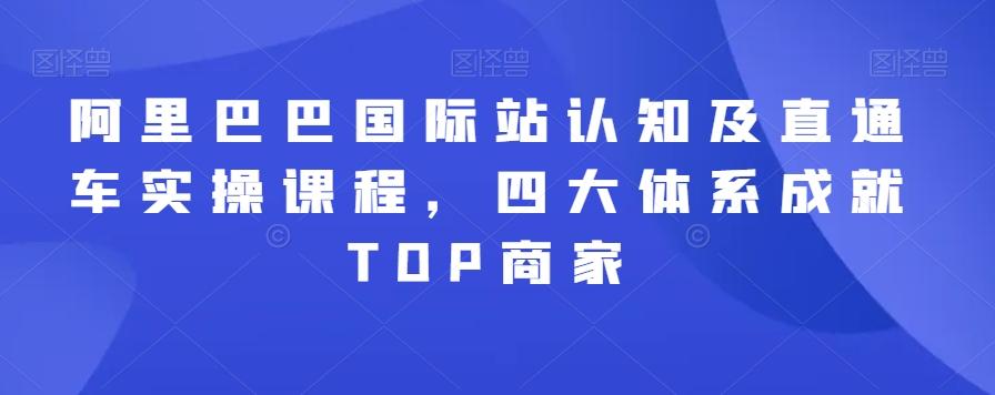 阿里巴巴国际站认知及直通车实操课程，四大体系成就TOP商家-梦凌网创