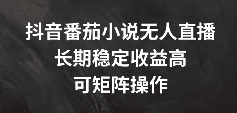 抖音番茄小说无人直播，长期稳定收益高，可矩阵操作【揭秘】-梦凌网创