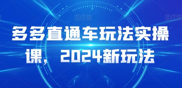 多多直通车玩法实操课，2024新玩法-梦凌网创