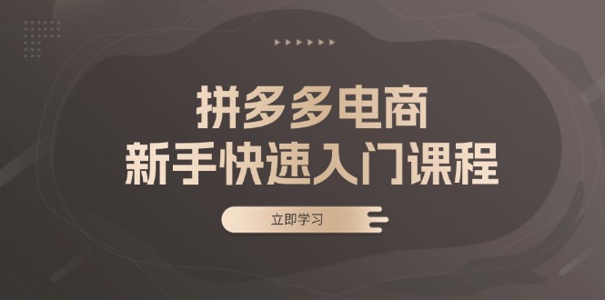 拼多多电商新手快速入门课程：涵盖基础、实战与选款，助力小白轻松上手-梦凌网创