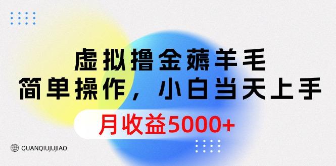 (9864期)虚拟撸金薅羊毛，简单操作，小白当天上手，月收益5000+-薪火元第一资源库