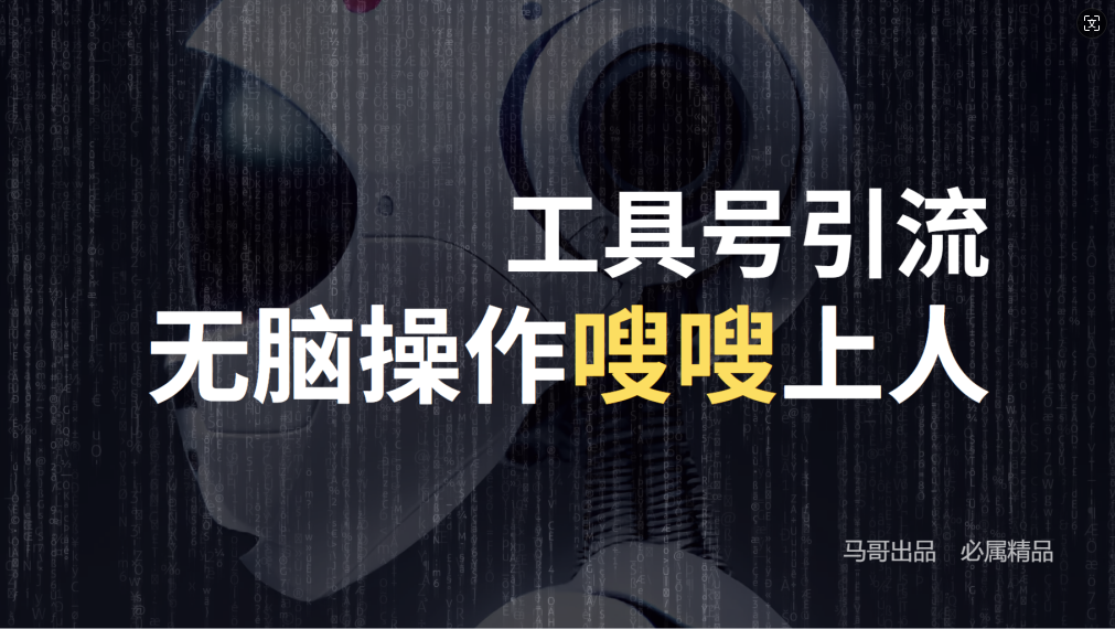 24年抖音最新工具号日引流300+创业粉，日入5000+-梦凌网创
