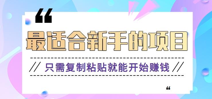 2024最适合新手操作的项目，新手小白只需复制粘贴就能开始赚钱【视频教程+软件】-梦凌网创