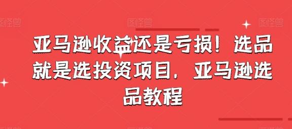 亚马逊收益还是亏损！选品就是选投资项目，亚马逊选品教程-梦凌网创