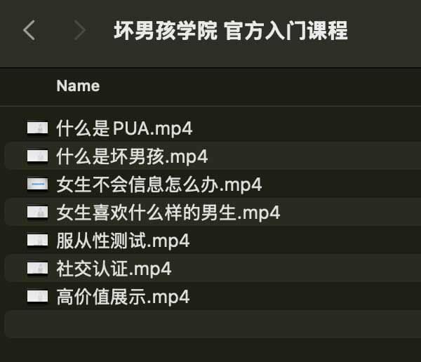坏男孩学院 官方入门课程-梦凌网创
