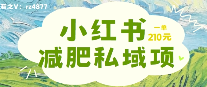 小红书减肥粉，私域变现项目，一单就达210元，小白也能轻松上手【揭秘】-梦凌网创