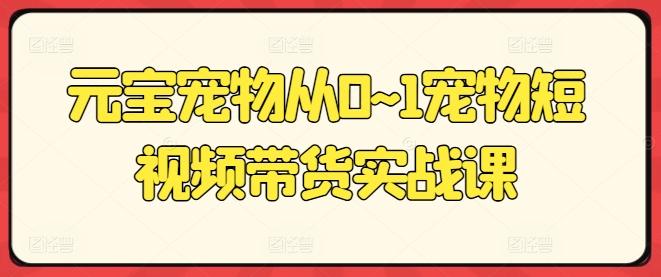 元宝宠物从0~1宠物短视频带货实战课-梦凌网创