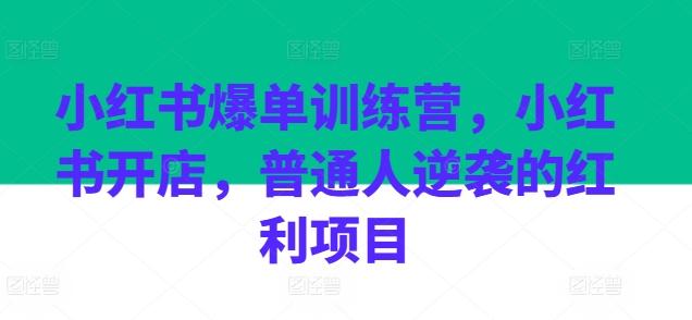 小红书爆单训练营，小红书开店，普通人逆袭的红利项目-梦凌网创