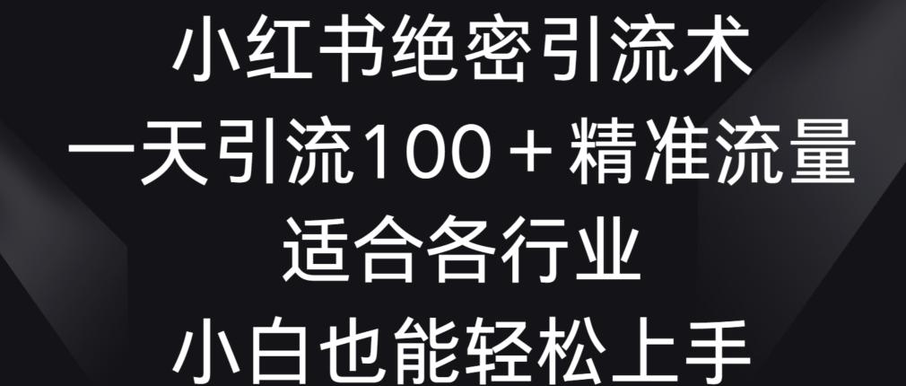 小红书绝密引流术，一天引流100+精准流量，适合各个行业，小白也能轻松上手【揭秘】-梦凌网创