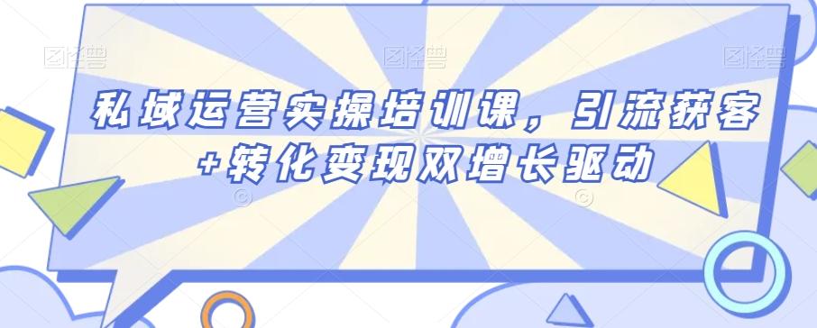 私域运营实操培训课，引流获客+转化变现双增长驱动-梦凌网创