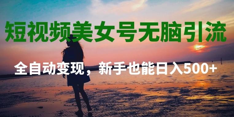 短视频美女号无脑引流，全自动变现，新手也能日入500+-梦凌网创