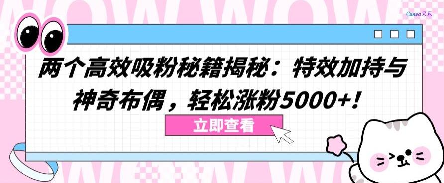 两个高效吸粉秘籍揭秘：特效加持与神奇布偶，轻松涨粉5000+【揭秘】-梦凌网创
