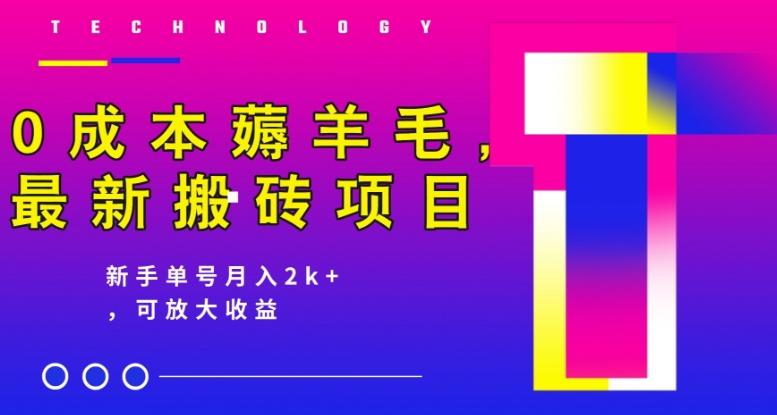 0成本薅羊毛，最新搬砖项目，新手单号月入2k+，可放大操作-梦凌网创