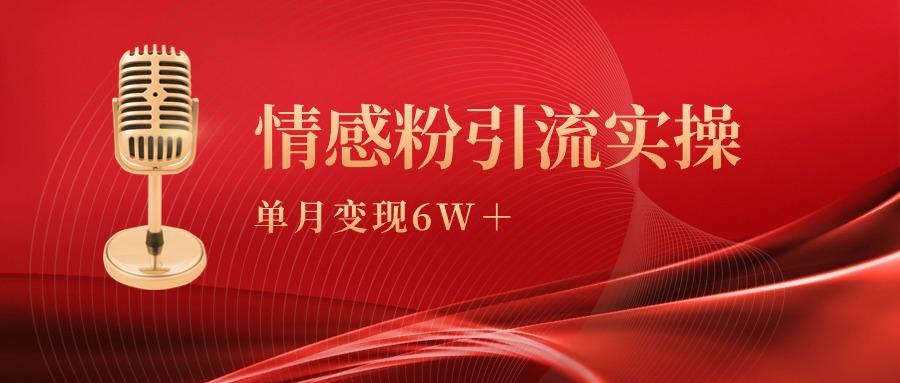 (9473期)单月变现6w+，情感粉引流变现实操课-梦凌网创