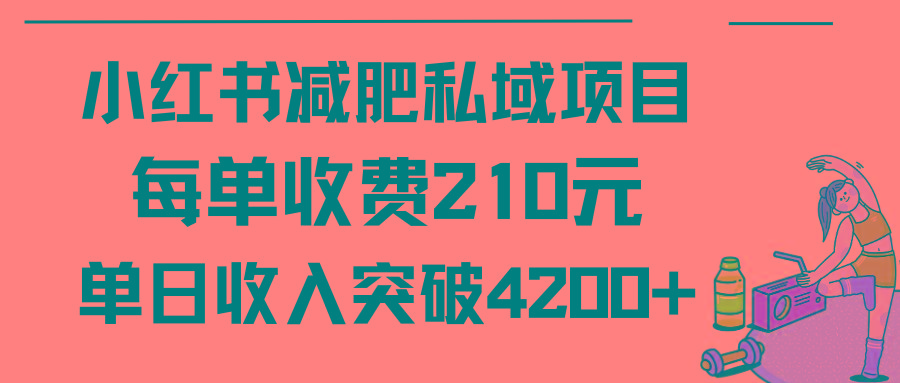 (9466期)小红书减肥私域项目每单收费210元单日成交20单，最高日入4200+-梦凌网创