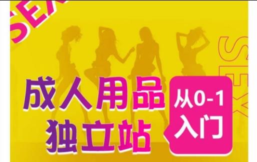 成人用品独立站从0-1入门，成品独立站运营全流程教学，七大好卖成品独立站推荐-梦凌网创