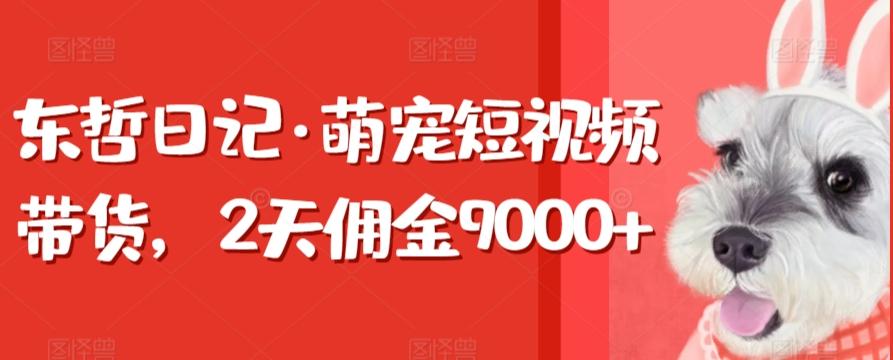 东哲日记·萌宠短视频带货，2天佣金9000+-梦凌网创