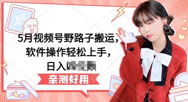 5月视频号野路子搬运，软件操作轻松上手，日入三位数【揭秘】-梦凌网创