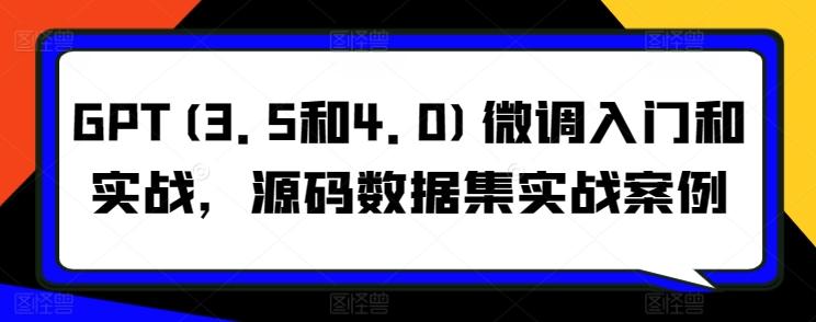 GPT(3.5和4.0)微调入门和实战，源码数据集实战案例-梦凌网创