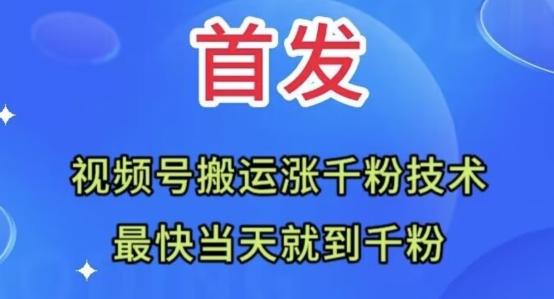 全网首发：视频号无脑搬运涨千粉技术，最快当天到千粉【揭秘】-梦凌网创