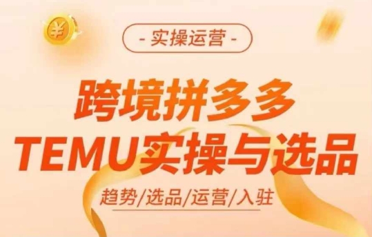 跨境拼多多TEMU实操与选品，多多temu跨境选品运营实操-梦凌网创