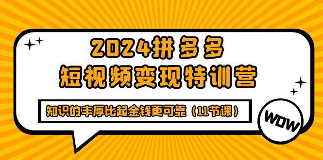 (9817期)2024拼多多短视频变现特训营，知识的丰厚比起金钱更可靠(11节课)-梦凌网创