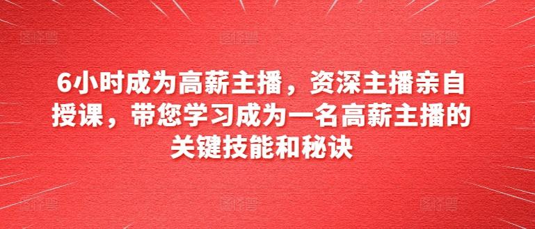 6小时成为高薪主播，资深主播亲自授课，带您学习成为一名高薪主播的关键技能和秘诀-梦凌网创
