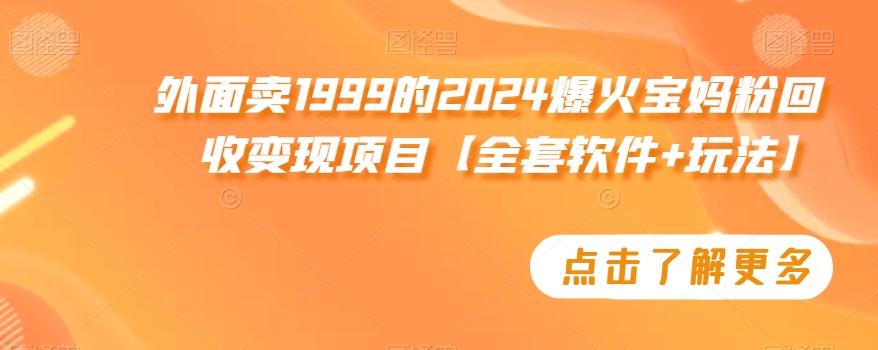 外面卖1999的2024爆火宝妈粉回收变现项目【全套软件+玩法】【揭秘】-梦凌网创