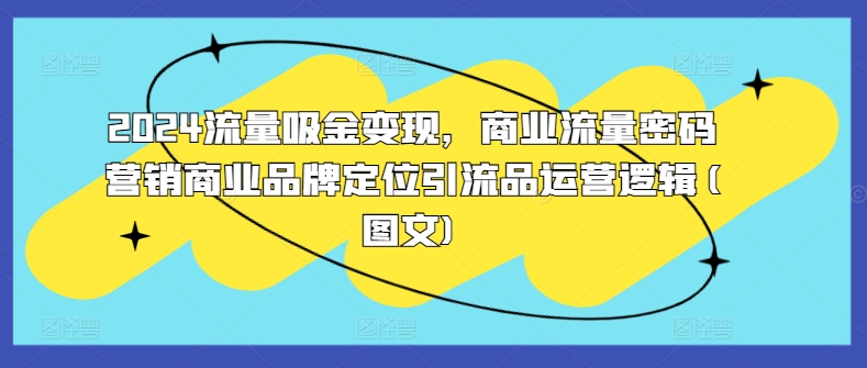 2024流量吸金变现，商业流量密码营销商业品牌定位引流品运营逻辑(图文)-梦凌网创