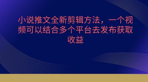 小说推文全新剪辑方法，一个视频可以结合多个平台去发布获取【揭秘】-梦凌网创