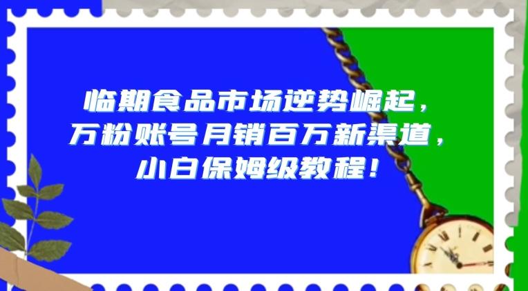 临期食品市场逆势崛起，万粉账号月销百万新渠道，小白保姆级教程【揭秘】-薪火元第一资源库