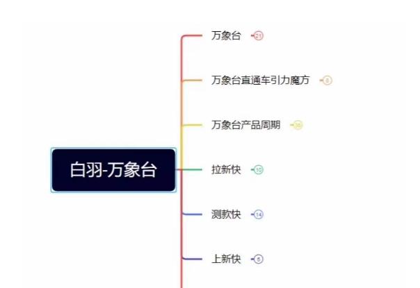 白羽·直引万搜索全篇，从0-1，多个类目实操经验总结付费-薪火元第一资源库