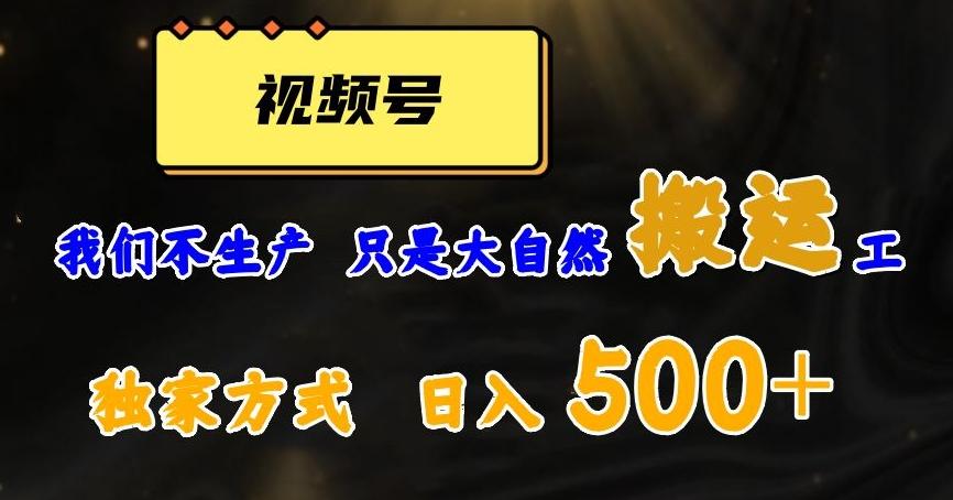 视频号轻松搬运日赚500+，一个1分钟1条原创视频【揭秘】-梦凌网创