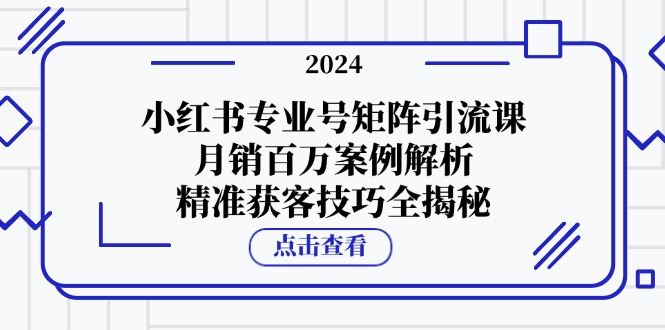 小红书专业号矩阵引流课，月销百万案例解析，精准获客技巧全揭秘-梦凌网创