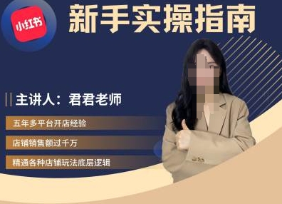 君君-小红书电商从入门到精通，新手实操指南-梦凌网创