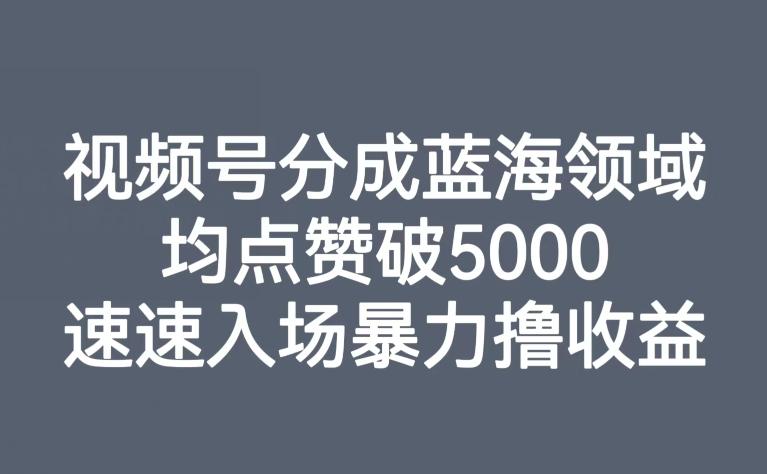 视频号分成蓝海领域，均点赞破5000，速速入场暴力撸收益-梦凌网创