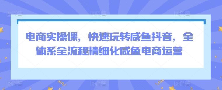 电商实操课，快速玩转咸鱼抖音，全体系全流程精细化咸鱼电商运营-梦凌网创