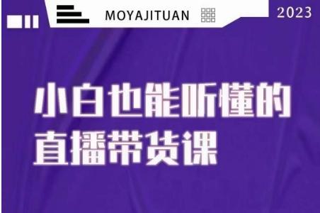 大威本威·能听懂的直播带货课，小白也能听懂，20节完整-梦凌网创