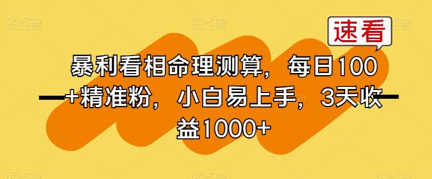 暴利看相命理测算，每日100+精准粉，小白易上手，3天收益1000+【揭秘】-梦凌网创