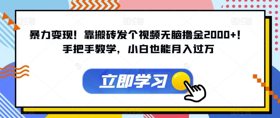 暴力变现！靠搬砖发个视频无脑撸金2000+！手把手教学，小白也能月入过万【揭秘】-梦凌网创