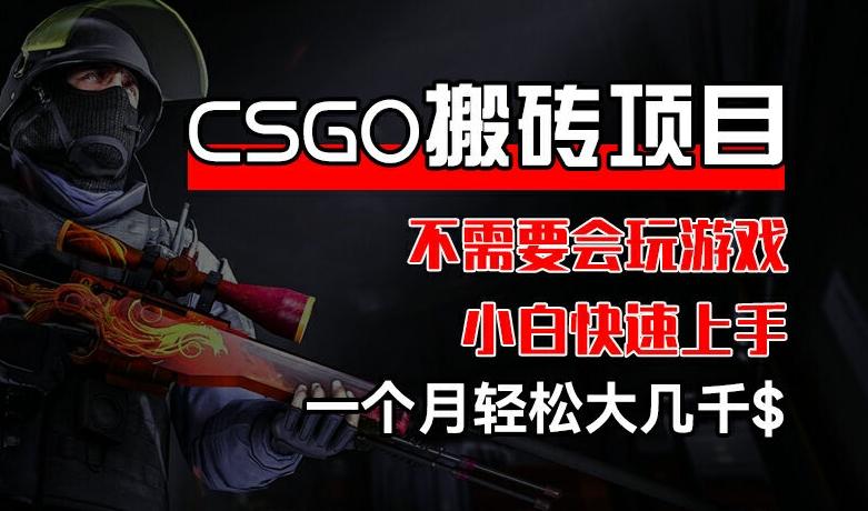 CSGO 装备搬砖项目，操作简单，不需要会玩游戏，小白也能快速上手，一个月轻松大几千【揭秘】-梦凌网创