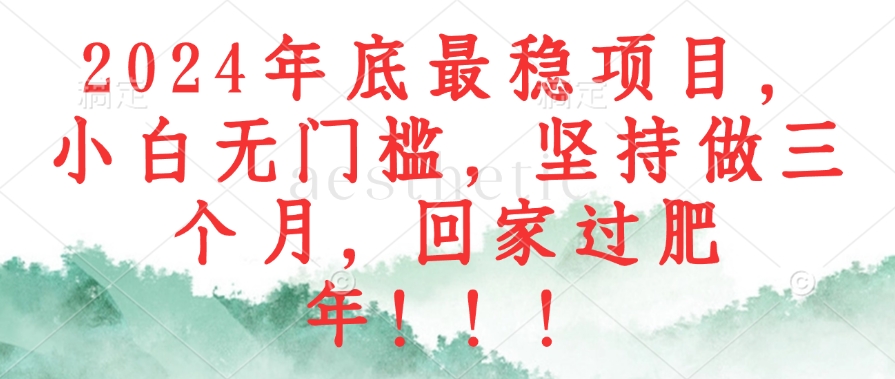 2024年底最稳项目，小白无门槛，坚持做三个月，回家过肥年！！！-梦凌网创