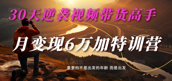 30天逆袭视频带货高手，单月变现6万加特训营-麦子甜-梦凌网创