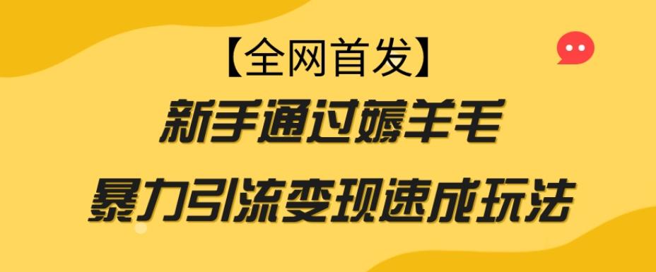 【全网首发】新手通过薅羊毛暴力引流变现速成玩法-梦凌网创