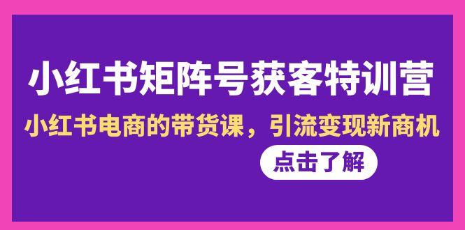小红书-矩阵号获客特训营-第10期，小红书电商的带货课，引流变现新商机-梦凌网创